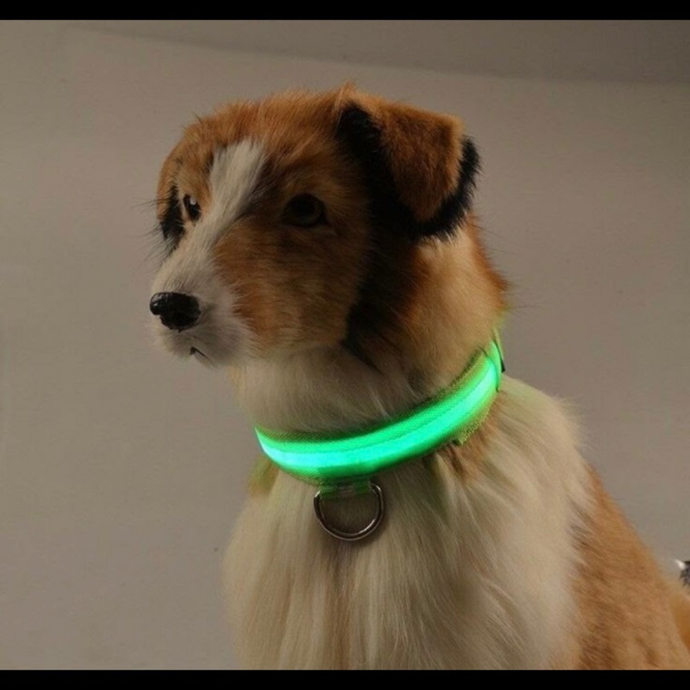 LED Dog Collars